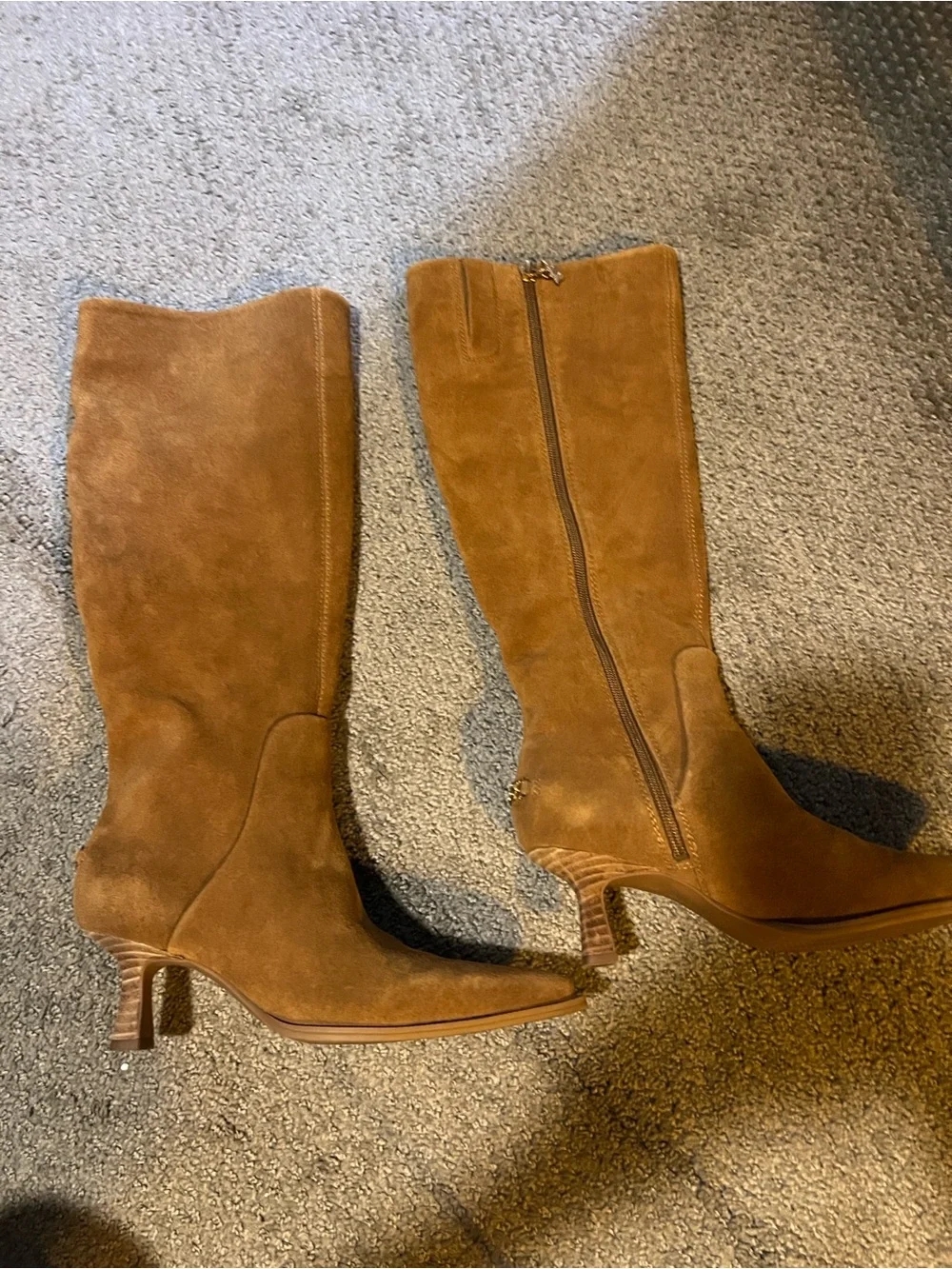 Circus by Sam Edelman Tall Pointed-Toe Suede Boots - Brown